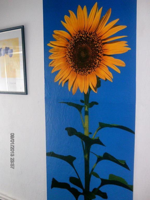 Hotel Garni "Adria" Windhagen Luaran gambar